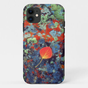 Aspen leaf on a lichen covered rock iPhone 11 case