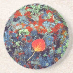 Aspen leaf on a lichen covered rock coaster