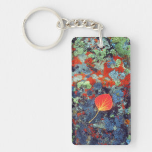 Aspen leaf on a lichen covered rock keychain