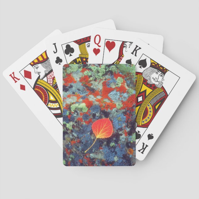 Aspen leaf on a lichen covered rock playing cards (Back)