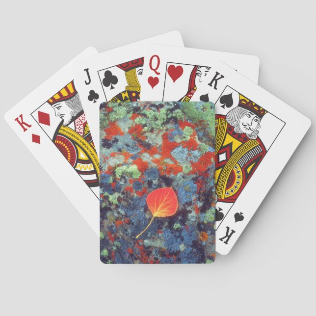 Aspen leaf on a lichen covered rock playing cards (Back)