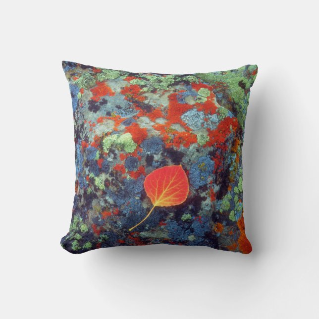 Aspen leaf on a lichen covered rock throw pillow (Front)