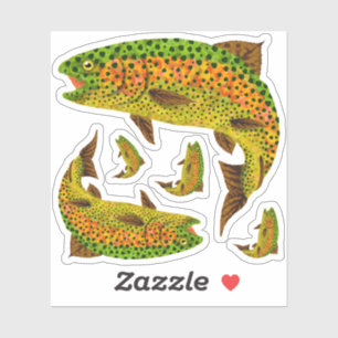 Aspen Leaf Rainbow Trout 1