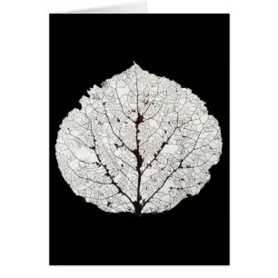 Aspen Leaf Skeleton 1