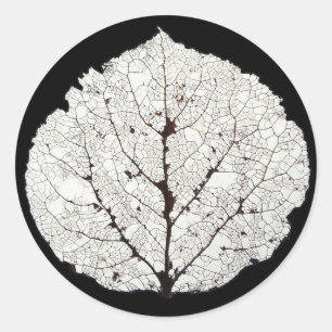 Aspen Leaf Skeleton 1 Classic Round Sticker