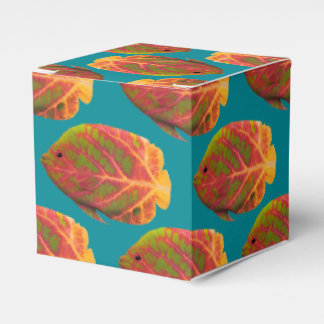 Aspen Leaf Tropical Fish 1 Favor Box