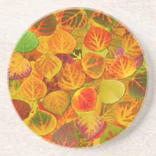 Aspen Leaves Collage Solid Medley 1 Coaster