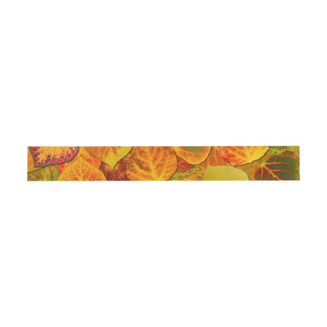 Aspen Leaves Collage Solid Medley 1 Invitation Belly Band (Flat)