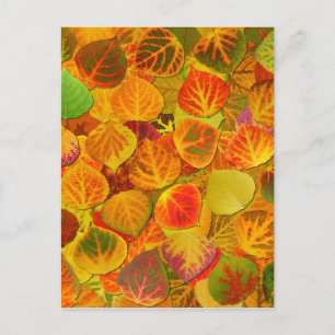 Aspen Leaves Collage Solid Medley 1 Postcard