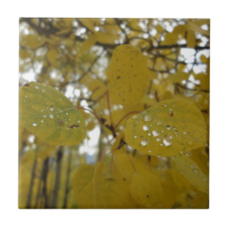 aspen leaves tile
