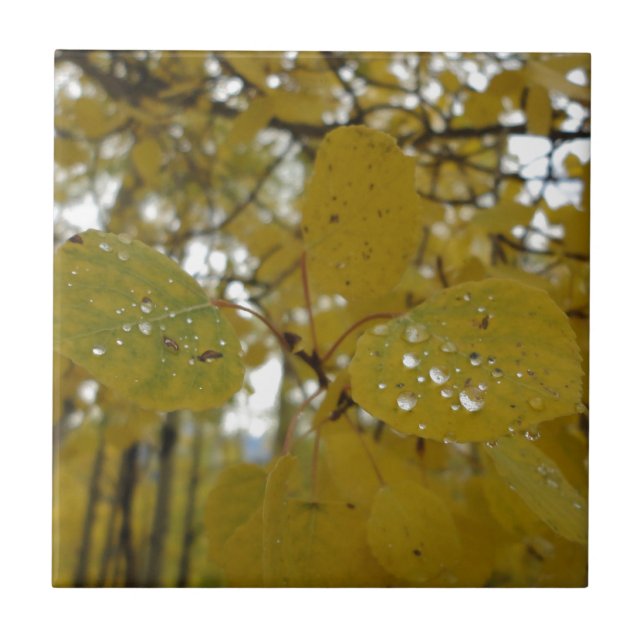 aspen leaves tile (Front)