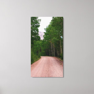 Aspen Lined Road Canvas Print