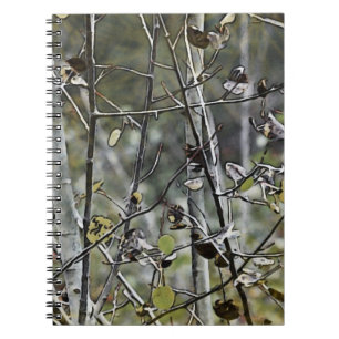 Aspen Notebook