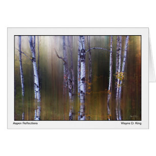 Aspen Reflections