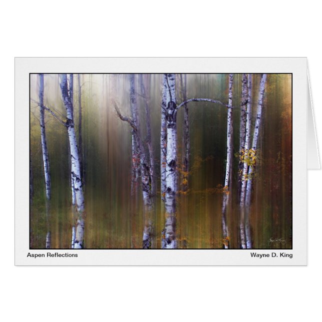 Aspen Reflections (Front Horizontal)