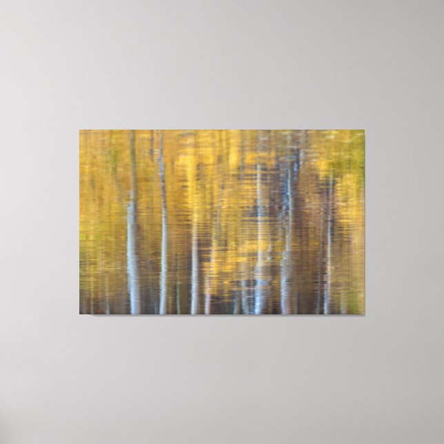 Aspen Reflections Canvas Print (Front)