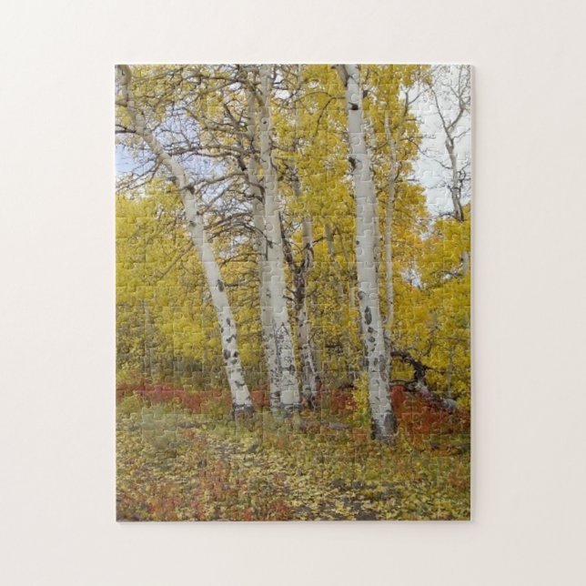 Aspen Splendour Nature Puzzle (Vertical)