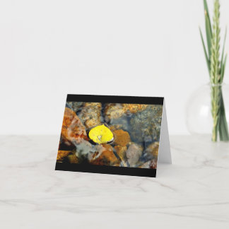 Aspen & the water drop blank card