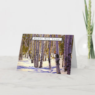 Aspen Tree Forest in Flagstaff, AZ Card