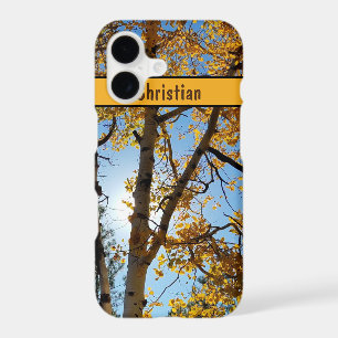Aspen Tree Golden  Fall Foliage Arizona