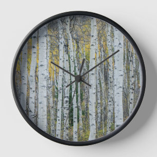 Aspen Tree Trunks Aspen, Colorado Clock