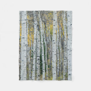 Aspen Tree Trunks   Aspen, Colorado Fleece Blanket