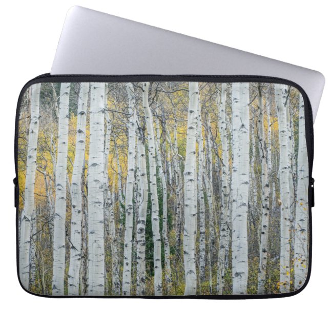 Aspen Tree Trunks | Aspen, Colorado Laptop Sleeve (Front)