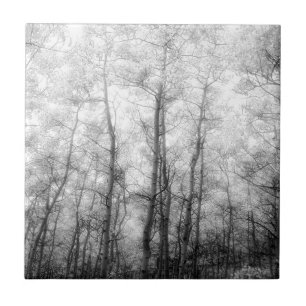 Aspen Trees - Black & White Tile