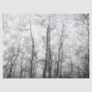 Aspen Trees - Black & White Tissue Paper