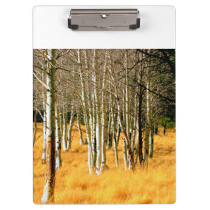 aspen trees clipboard