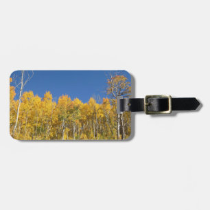 Aspen Trees, Colorado Luggage Tag