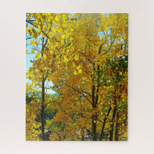 Aspen Trees Fall Leaves Jigsaw Puzzle
