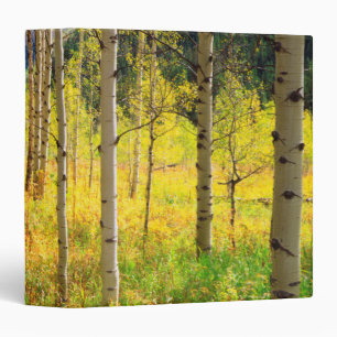 Aspen Trees in Autumn in the Rockies Binder