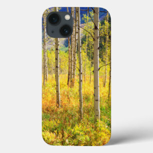 Aspen Trees in Autumn in the Rockies iPhone 13 Case