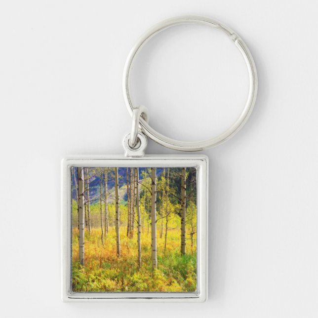 Aspen Trees in Autumn in the Rockies Keychain (Front)