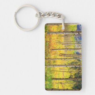 Aspen Trees in Autumn in the Rockies Keychain
