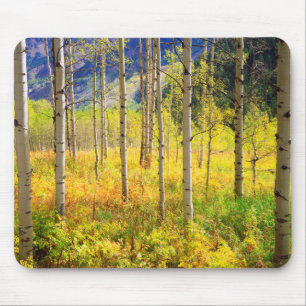Aspen Trees in Autumn in the Rockies Mouse Pad