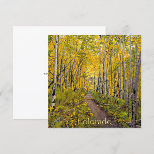 Aspen Trees In Fall Card