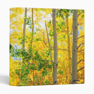 Aspen Trees In Fall Sierra Nevada Mountains, CA Binder
