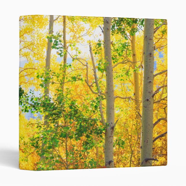 Aspen Trees In Fall | Sierra Nevada Mountains, CA Binder (Front/Spine)