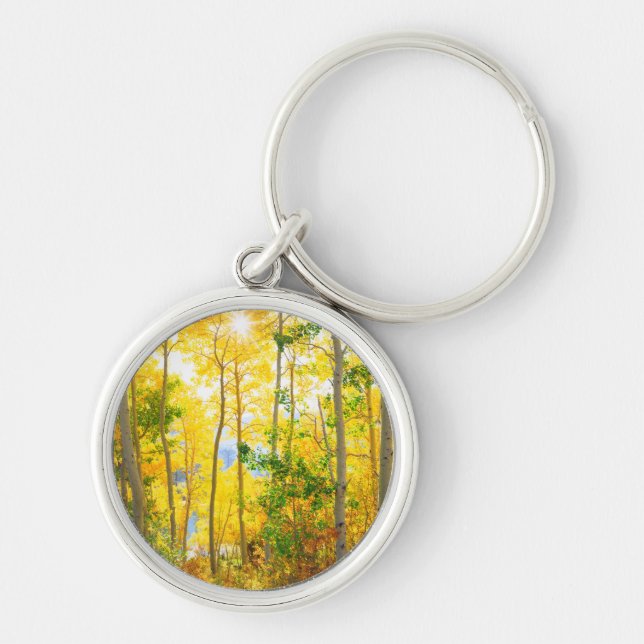 Aspen Trees In Fall | Sierra Nevada Mountains, CA Keychain (Front)