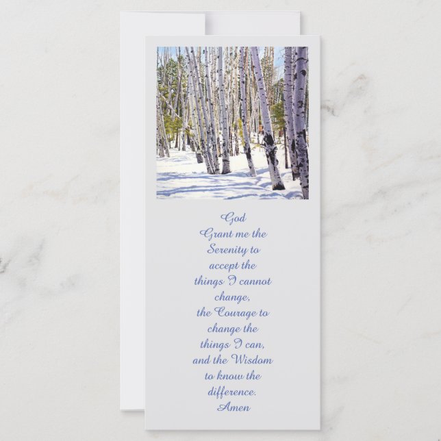 Aspen Trees in the Forest (Front)