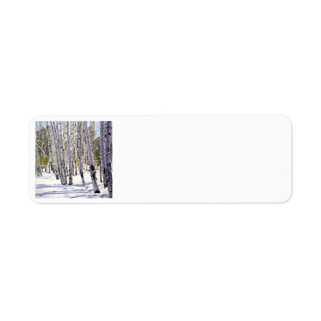 Aspen Trees in the Forest (Front)