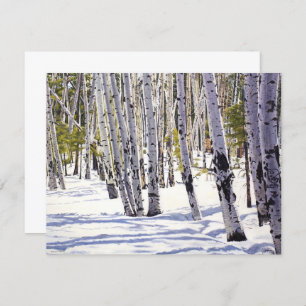 Aspen Trees in the Forest Card