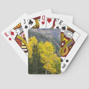 Aspen Trees (Populus Tremuloides) And Conifers 2 Playing Cards