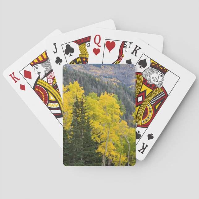 Aspen Trees (Populus Tremuloides) And Conifers 2 Playing Cards (Back)