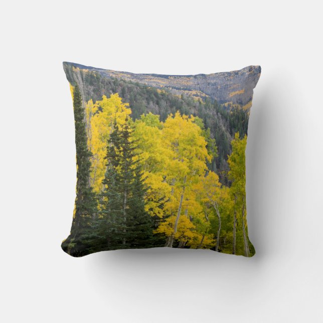 Aspen Trees (Populus Tremuloides) And Conifers 2 Throw Pillow (Front)
