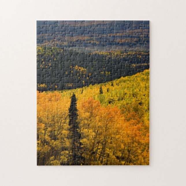 Aspen Trees (Populus Tremuloides) And Conifers Jigsaw Puzzle (Vertical)