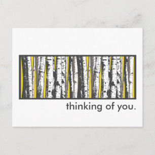 aspen trees postcard