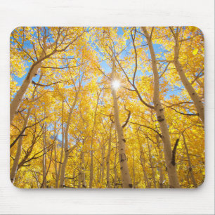 Aspen Trees Sierra Nevada Mountains, CA Mouse Pad